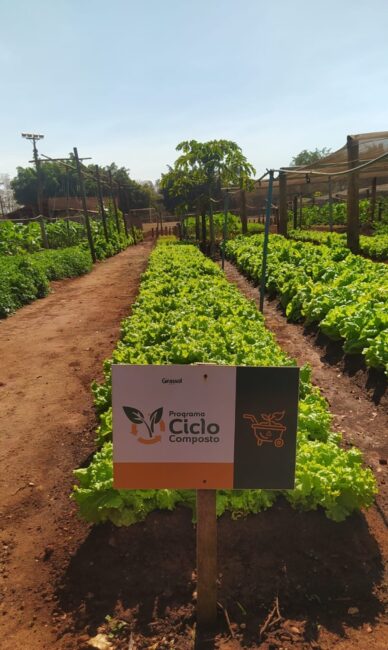 ciclo-composto-da-terra-para-a-terra-2