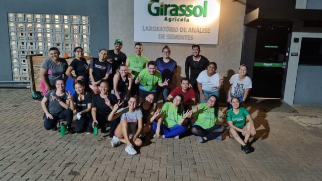 girassol-mais-saude-2