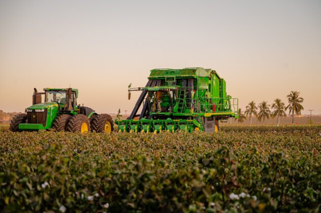 gatec-algodao-2025-10