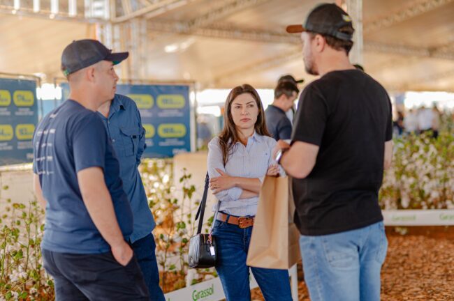 gatec-algodao-2025-100