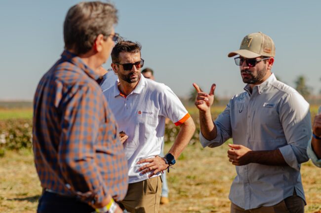 gatec-algodao-2025-104