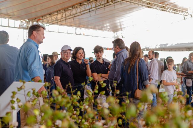 gatec-algodao-2025-107