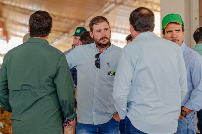 gatec-algodao-2025-110