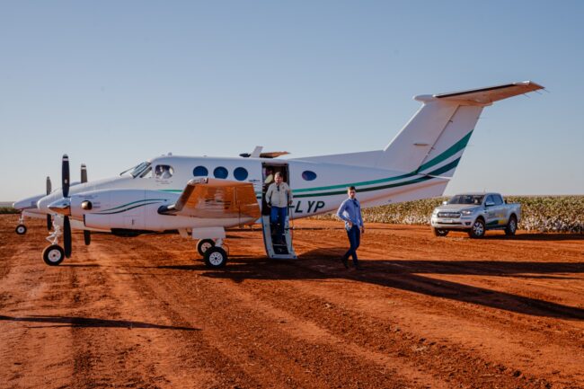 gatec-algodao-2025-117