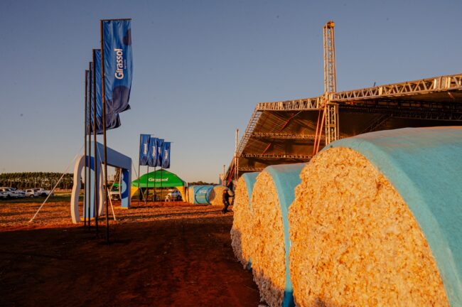 gatec-algodao-2025-12