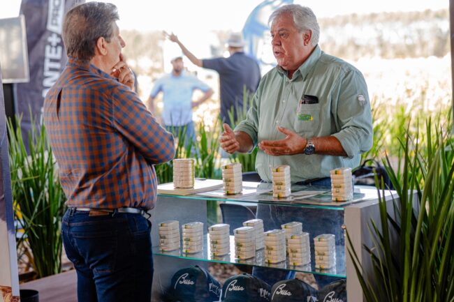 gatec-algodao-2025-125