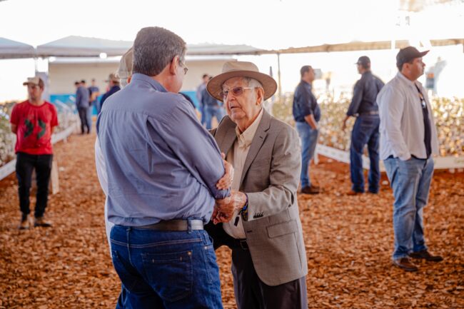 gatec-algodao-2025-129