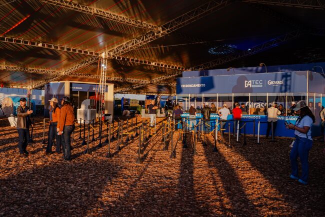 gatec-algodao-2025-13