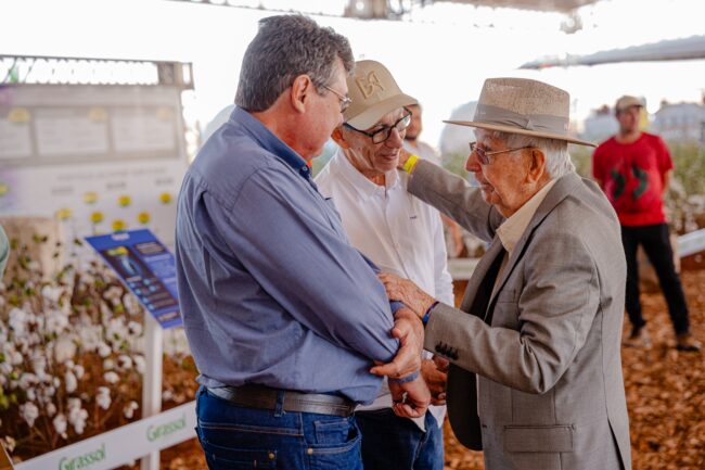 gatec-algodao-2025-130