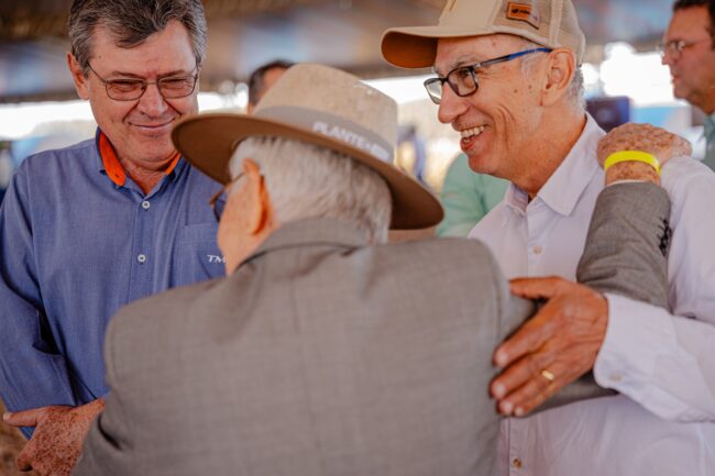 gatec-algodao-2025-131