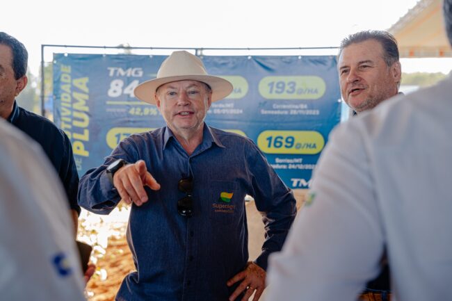 gatec-algodao-2025-133