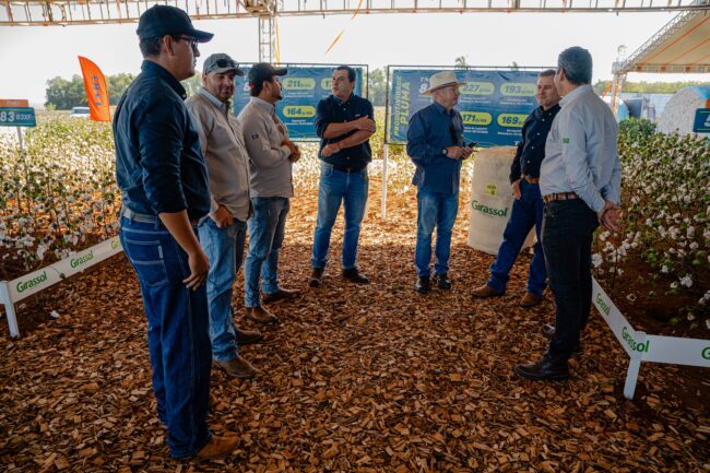 gatec-algodao-2025-134