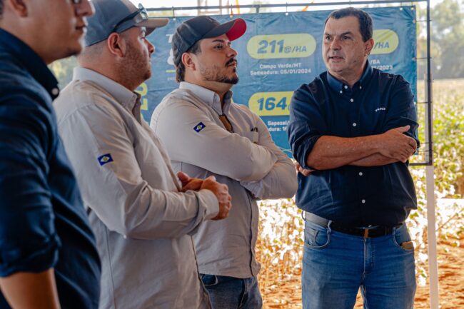 gatec-algodao-2025-135