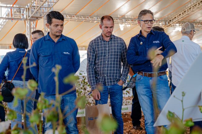 gatec-algodao-2025-136