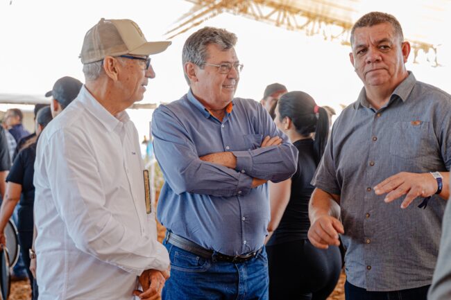 gatec-algodao-2025-138