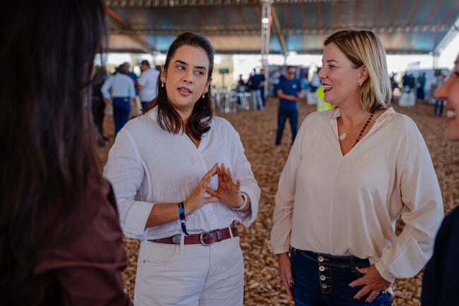 gatec-algodao-2025-155