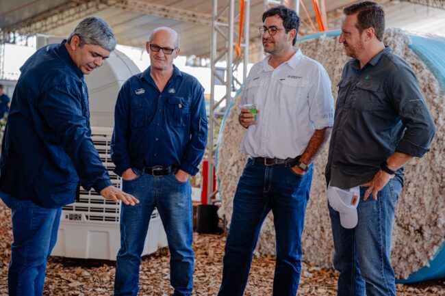 gatec-algodao-2025-156