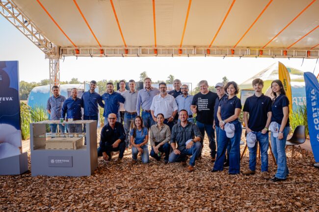 gatec-algodao-2025-158