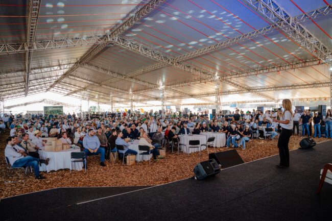 gatec-algodao-2025-163