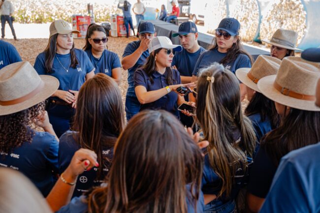 gatec-algodao-2025-171