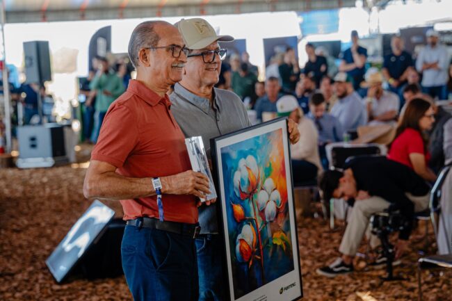 gatec-algodao-2025-173