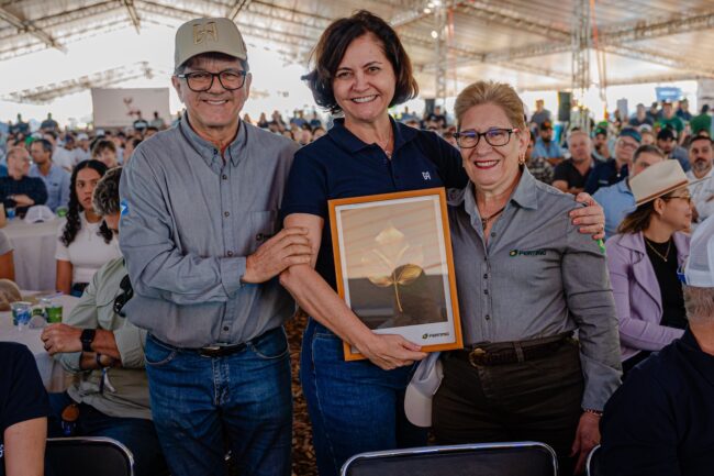 gatec-algodao-2025-175