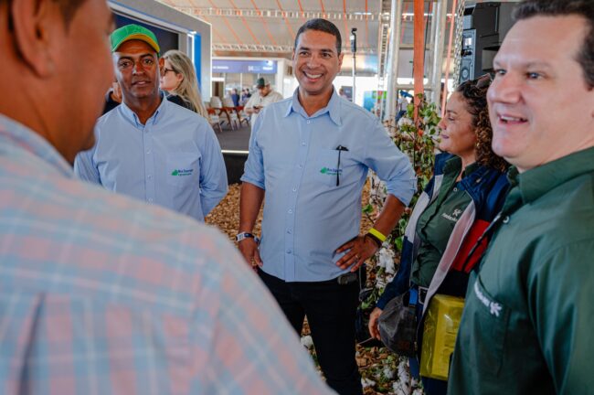 gatec-algodao-2025-191