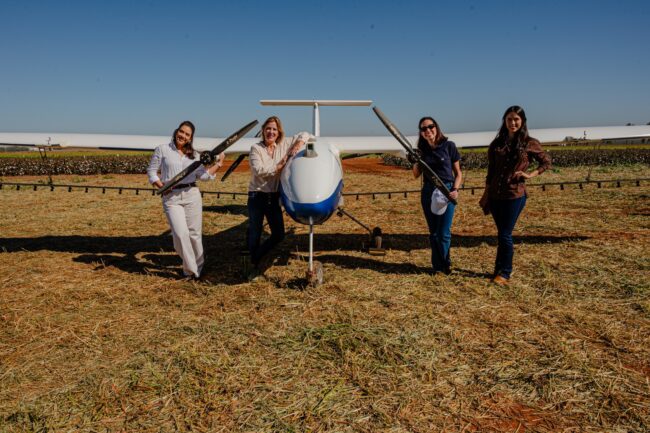 gatec-algodao-2025-203