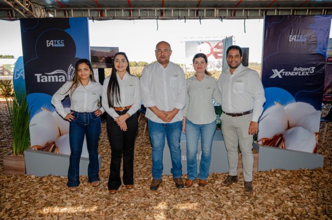 gatec-algodao-2025-207