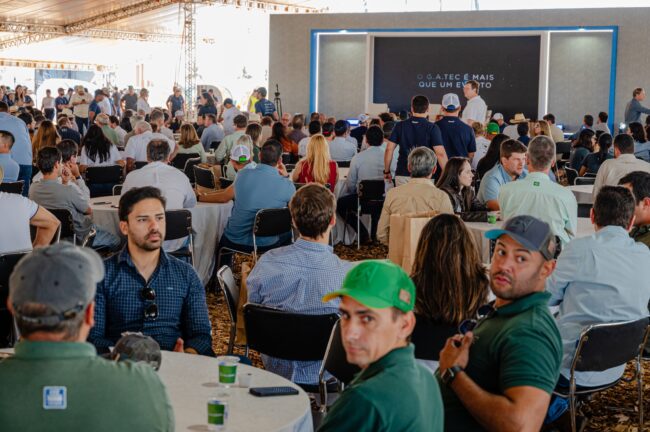gatec-algodao-2025-215