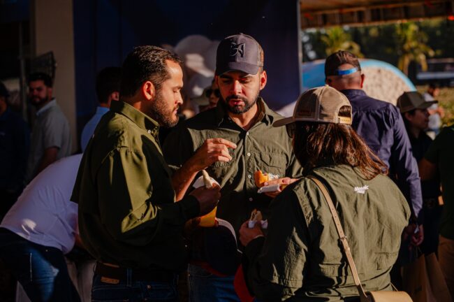 gatec-algodao-2025-22