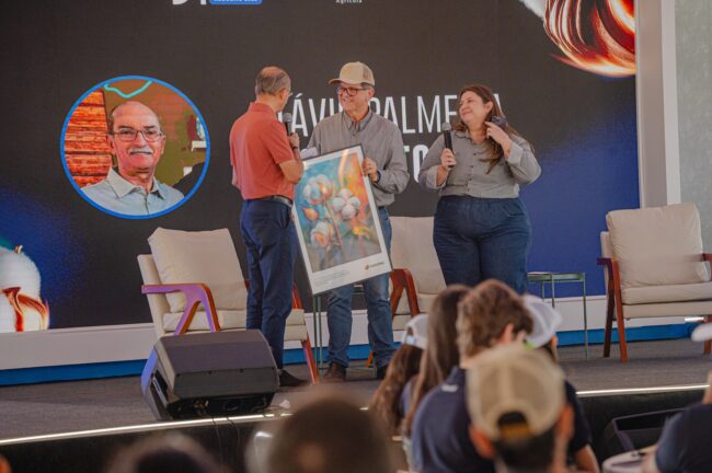 gatec-algodao-2025-238