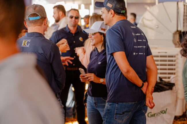 gatec-algodao-2025-25