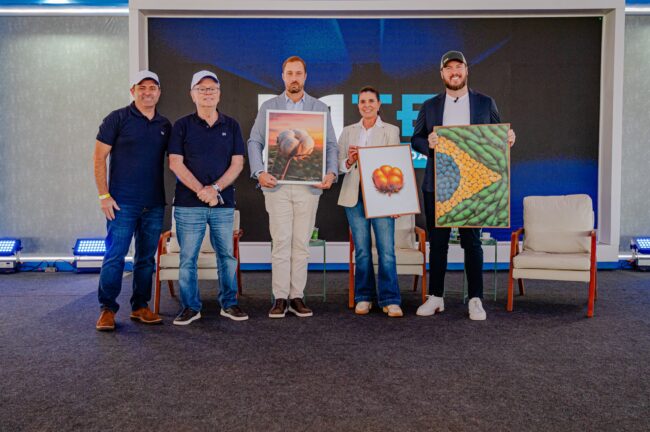 gatec-algodao-2025-251