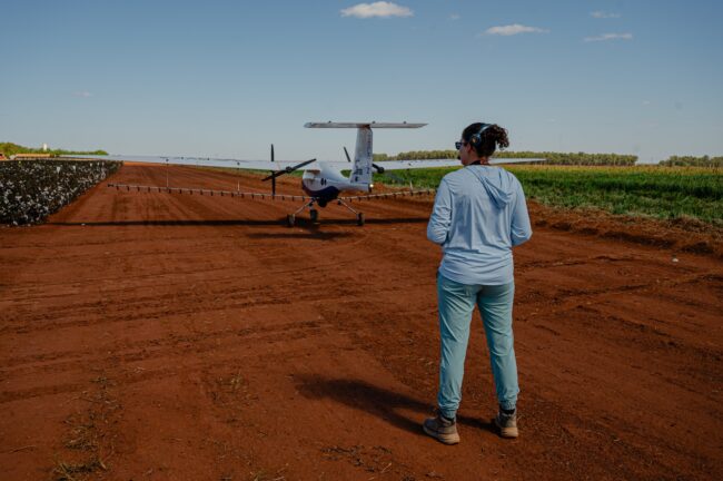 gatec-algodao-2025-258