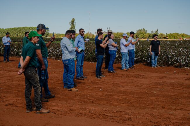 gatec-algodao-2025-259