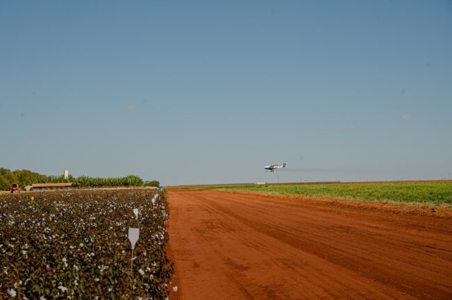 gatec-algodao-2025-260