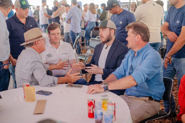 gatec-algodao-2025-262