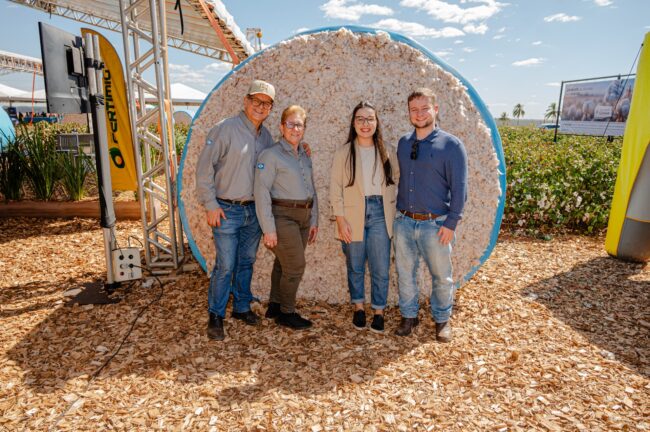 gatec-algodao-2025-265