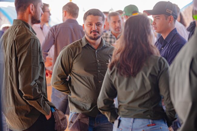 gatec-algodao-2025-27