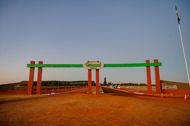 gatec-algodao-2025-6