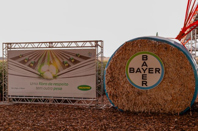 gatec-algodao-2025-64