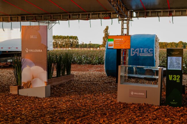 gatec-algodao-2025-68