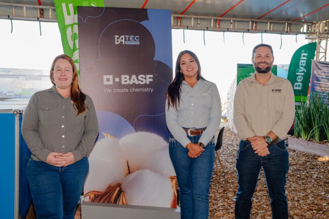 gatec-algodao-2025-77