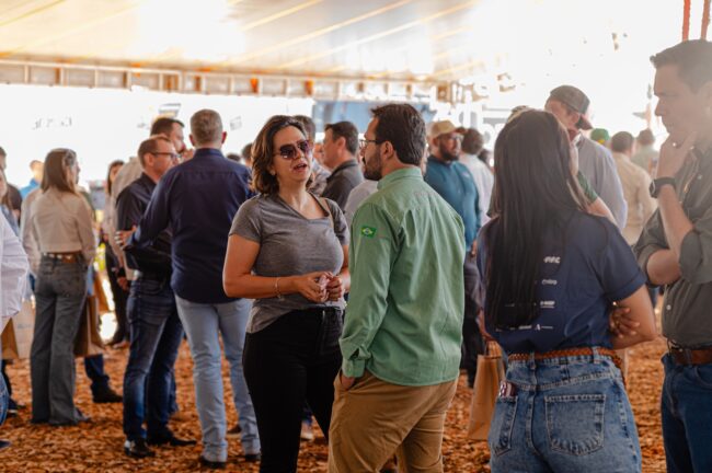 gatec-algodao-2025-84