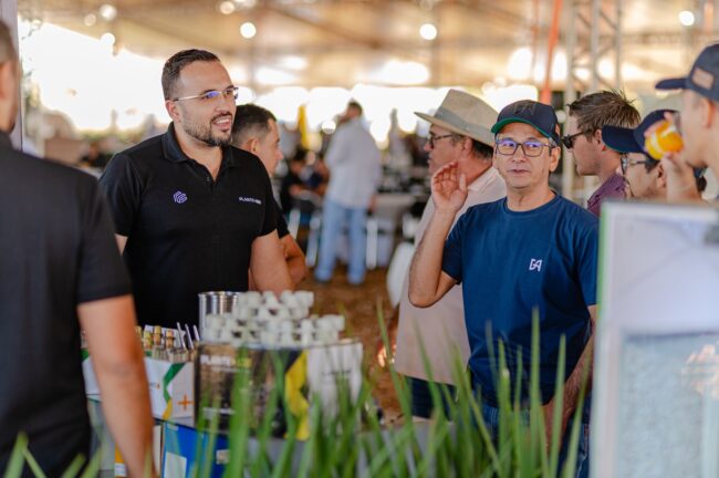 gatec-algodao-2025-95