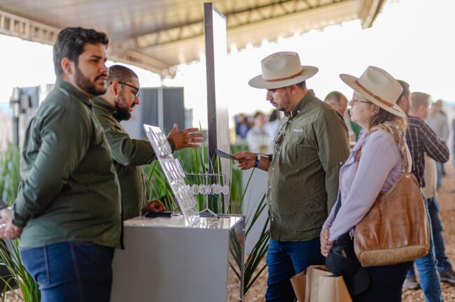 gatec-algodao-2025-97